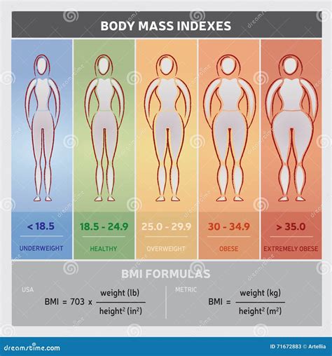 3d Body Bmi