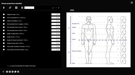 Body Calculator 3d