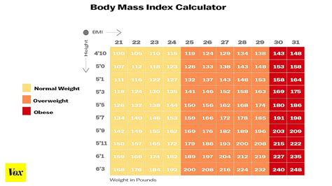 Body Mass Visualizer