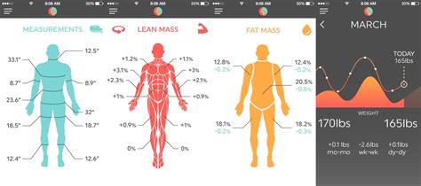 Body Visualizer 3d