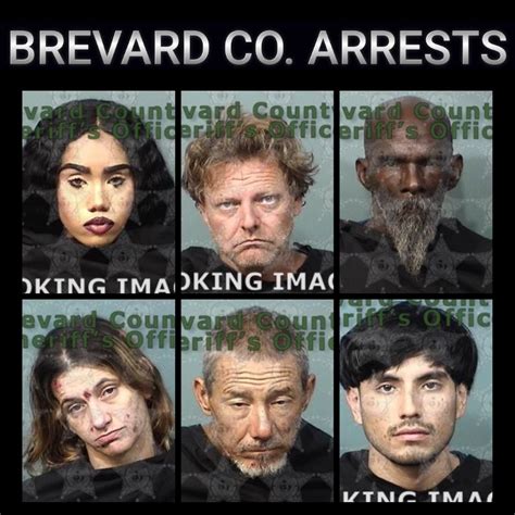 Brevard Mugshots 2024