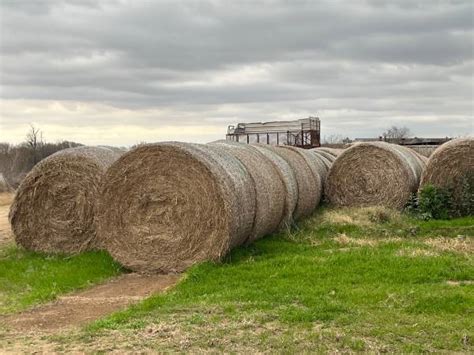 Craigslist East Texas Farm And Garden For Sale By Owner