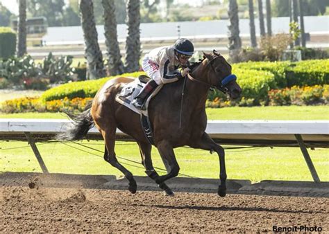 Los Alamitos Thoroughbred Entries And Results Today